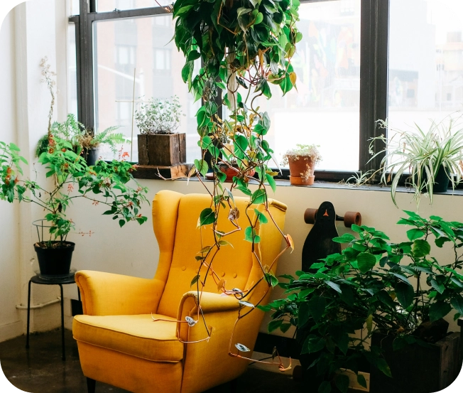 Davey-Real-Estate-Image-1